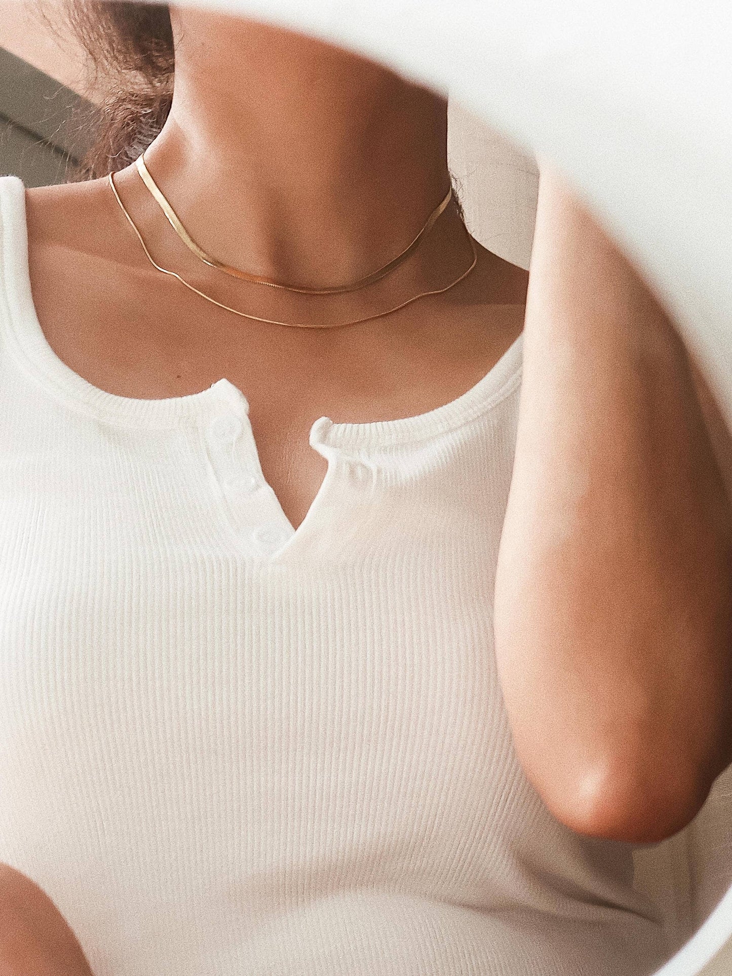 Jean 18K Gold Layered Flat Snake Chain Necklace