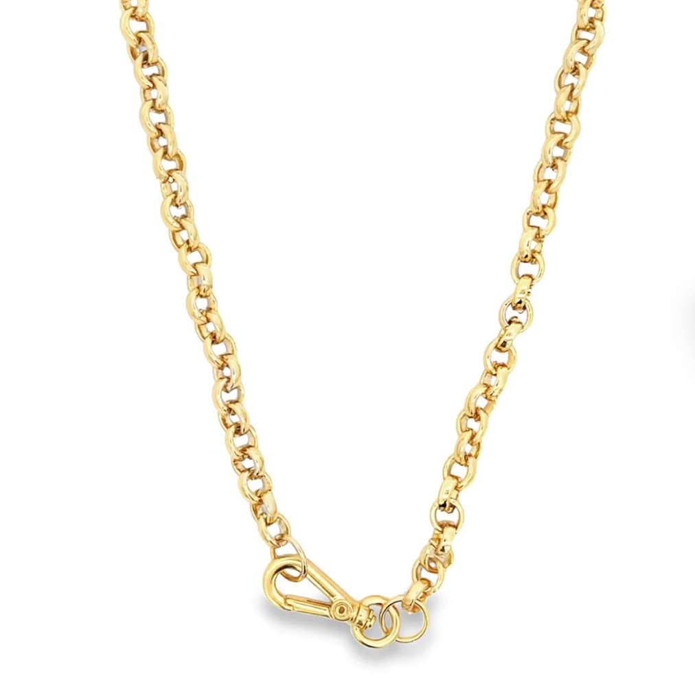 Carabiner Clasp Rolo Necklace