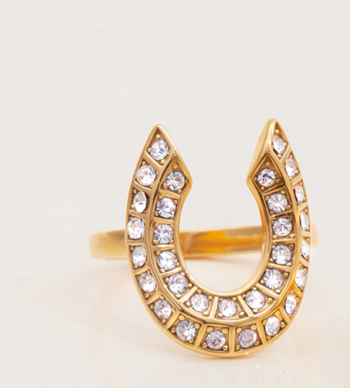 Lucky Horse Shoe CZ Ring