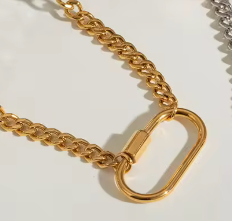Carabiner Link Necklace