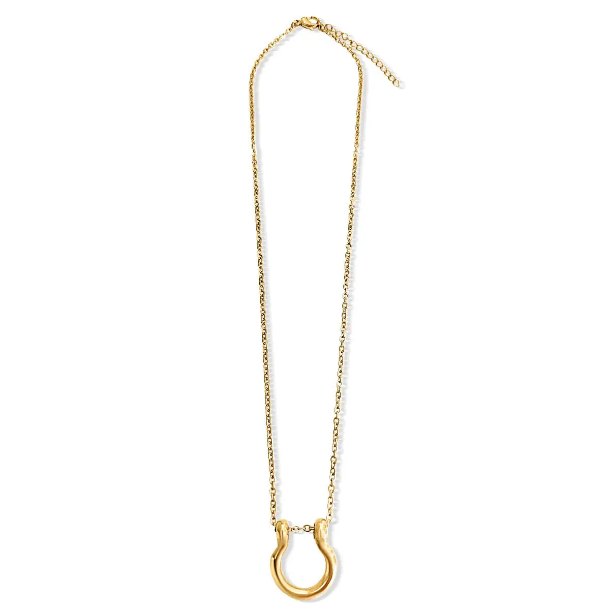 Horse Shoe Chain Necklace