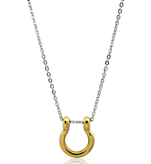 Horse Shoe Chain Necklace