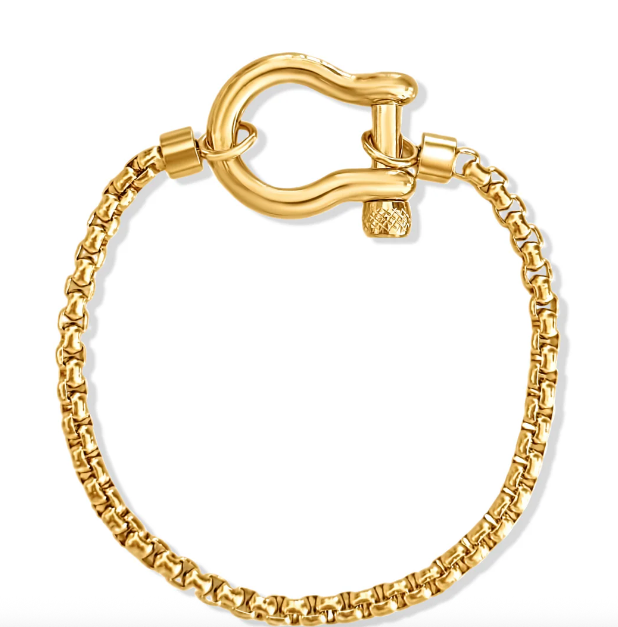 Horse Bit Carabiner Bracelet